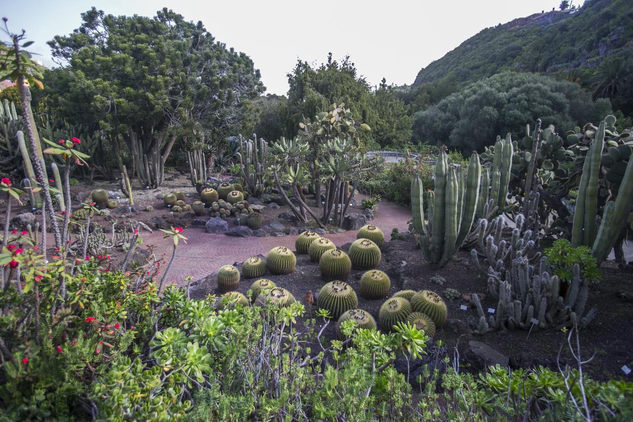 Rk City Center Las Palmas de Gran Canaria Dış mekan fotoğraf